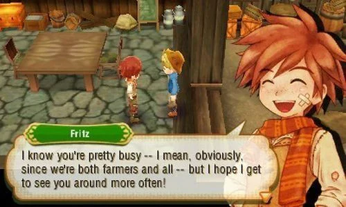 STORY OF SEASONS - 3DS - Image 3