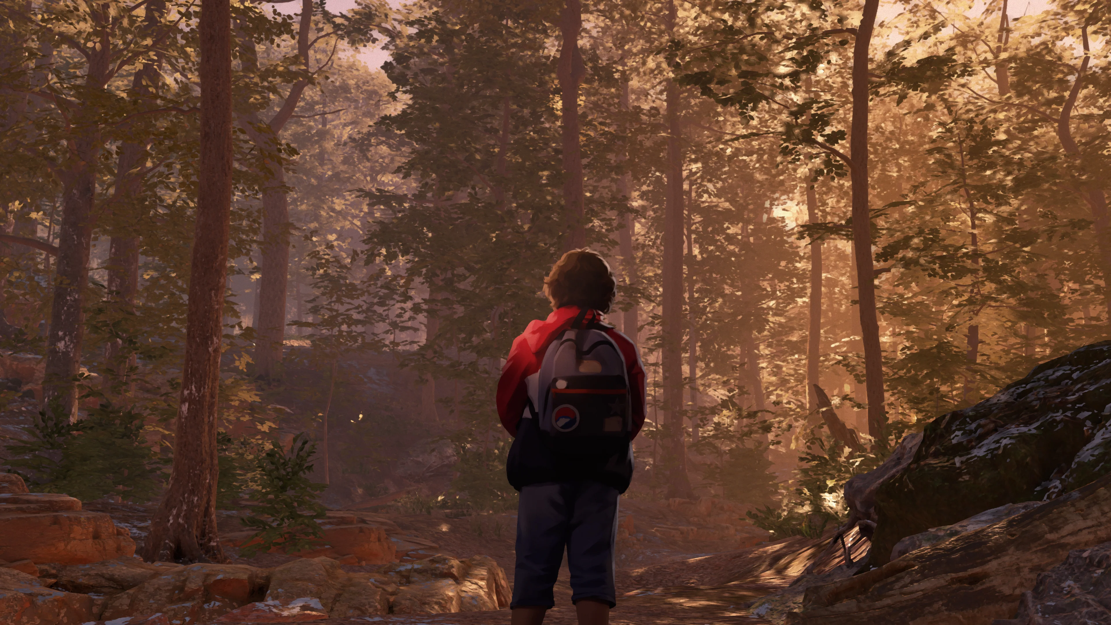 As Dusk Falls [PREMIUM PHYSICAL EDITION] - PS5 - Image 7