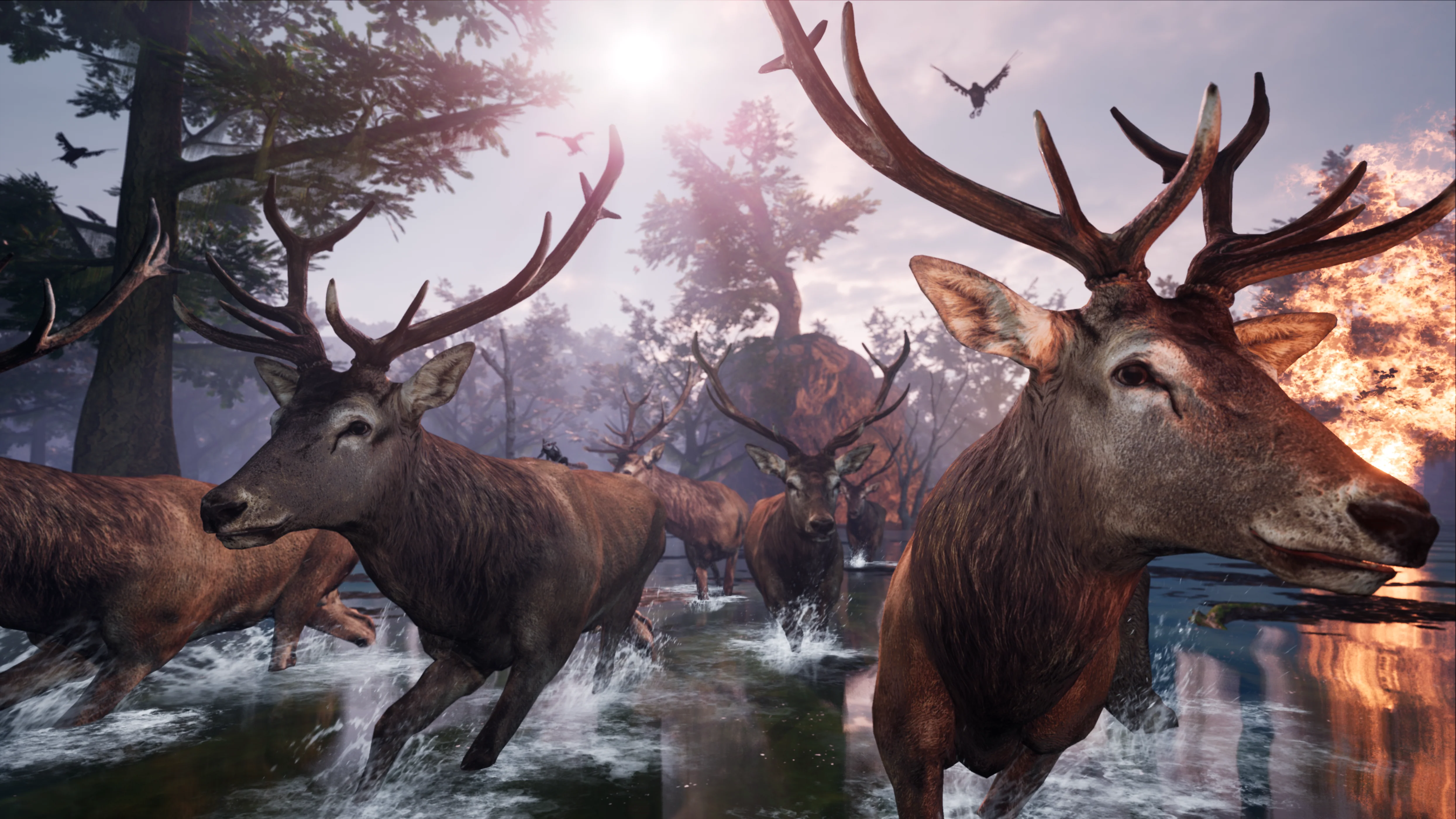 Away: The Survival Series - PS5 - Image 9