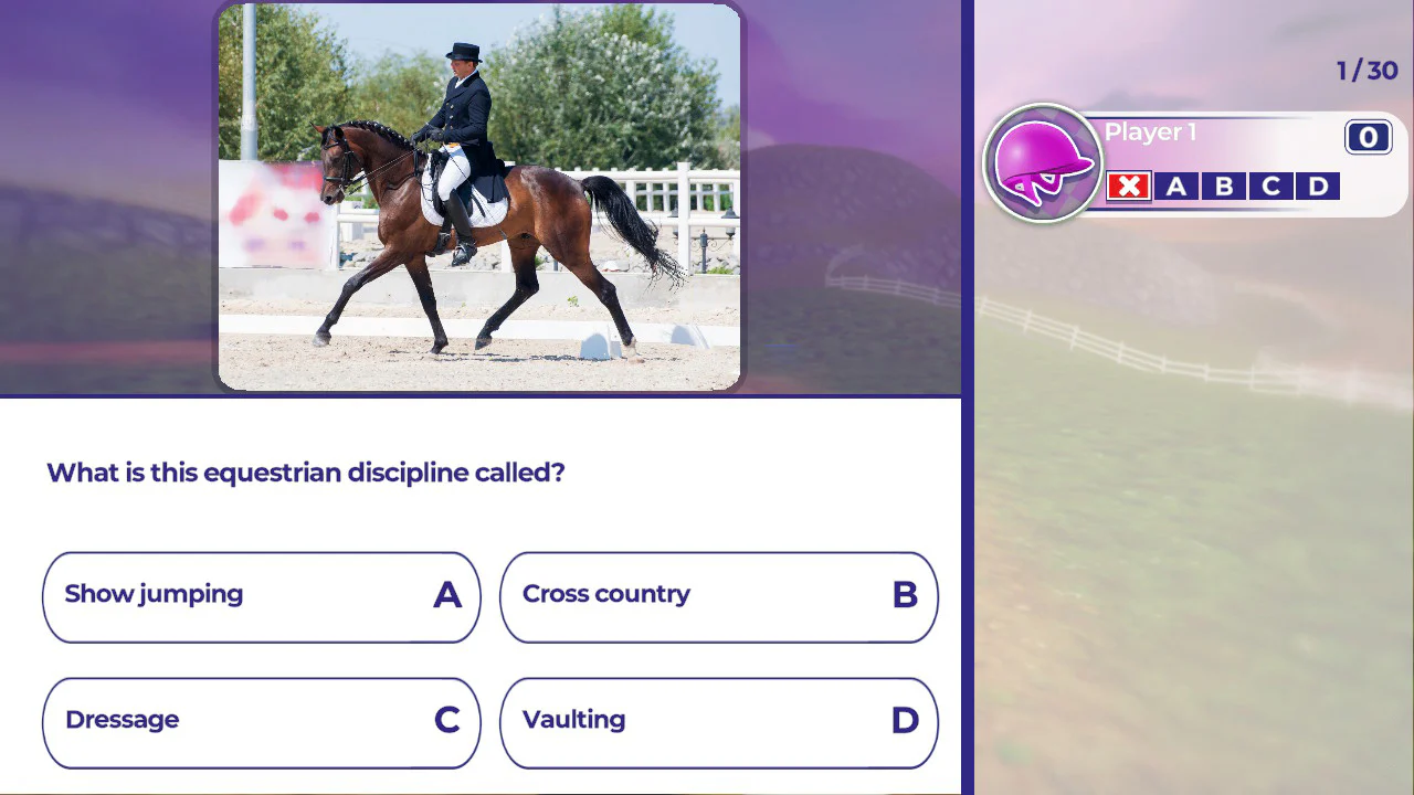 EQUESTRIAN TRAINING - SWITCH - Image 4