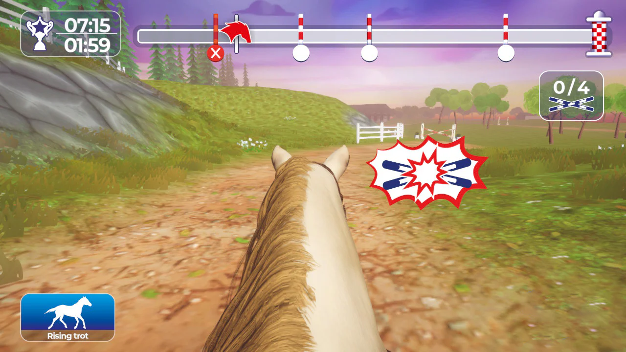 EQUESTRIAN TRAINING - SWITCH - Image 5
