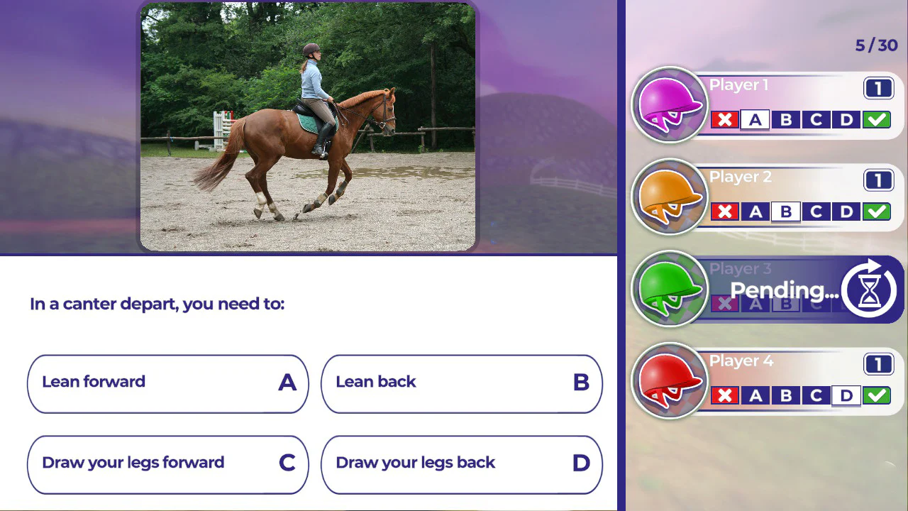 EQUESTRIAN TRAINING - SWITCH - Image 6
