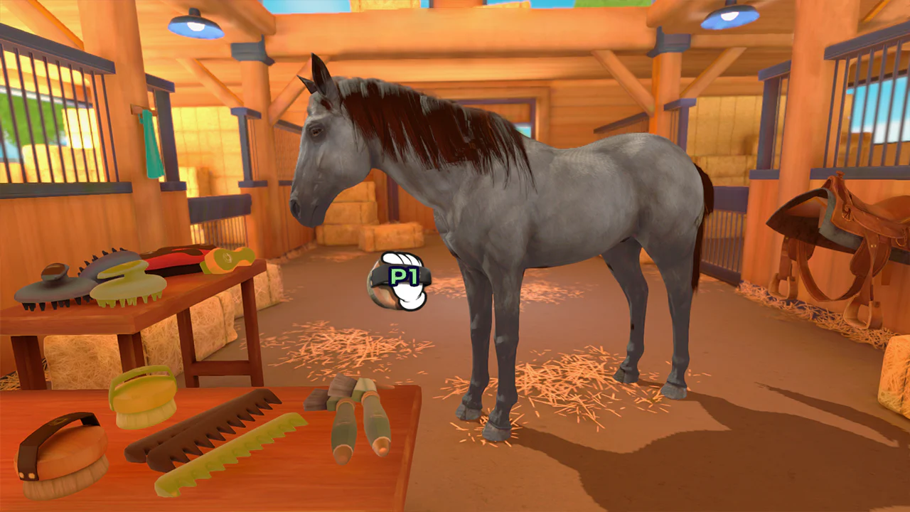 EQUESTRIAN TRAINING - SWITCH - Image 7