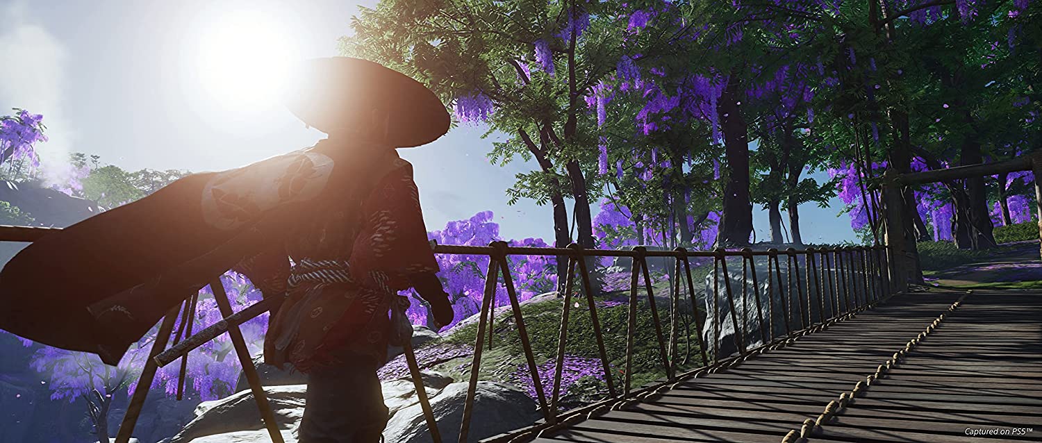 Ghost of Tsushima Director’s Cut - PlayStation 5 - Image 6