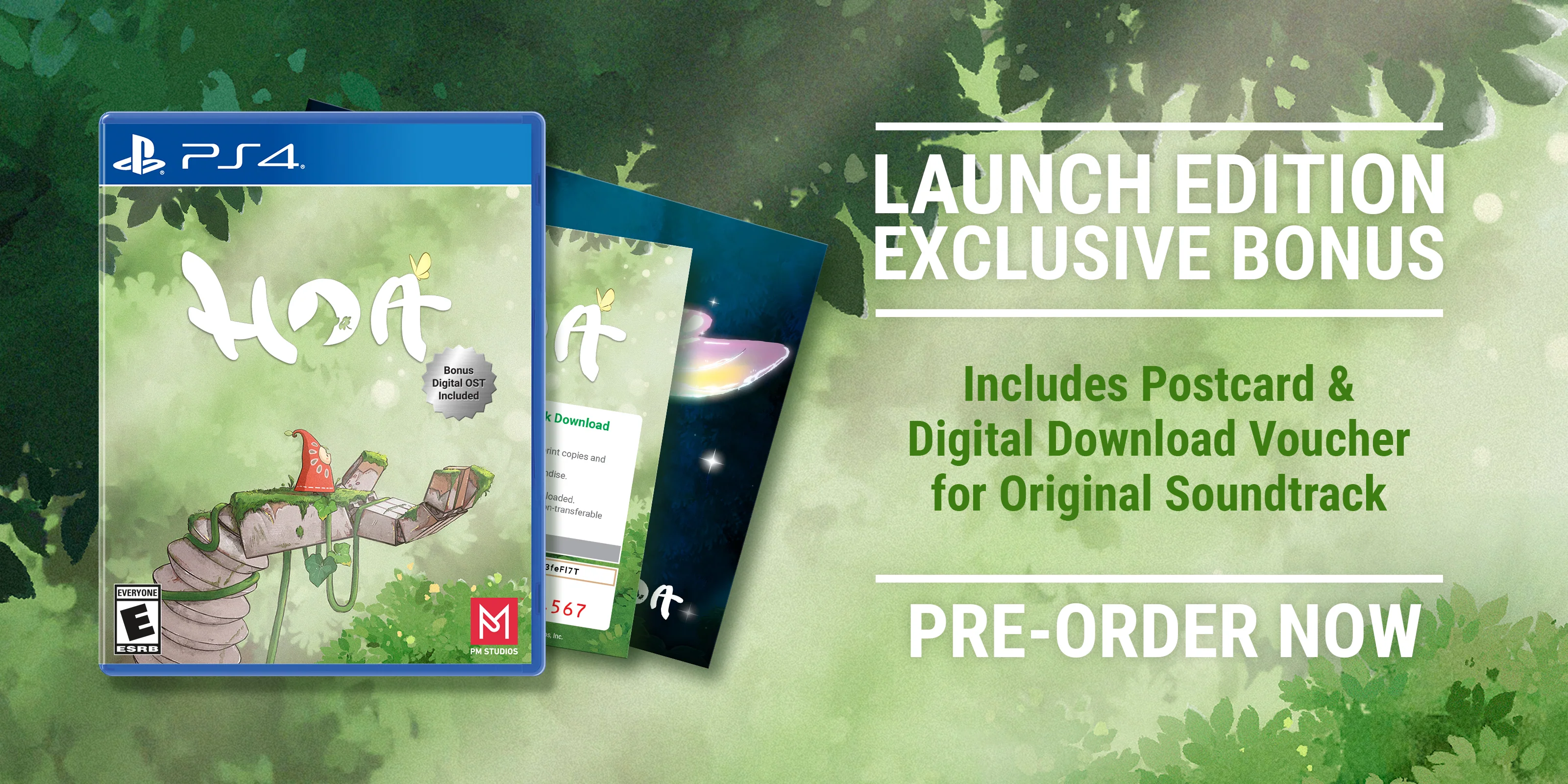 Hoa - PS4 [LAUNCH EDITION] - Image 2