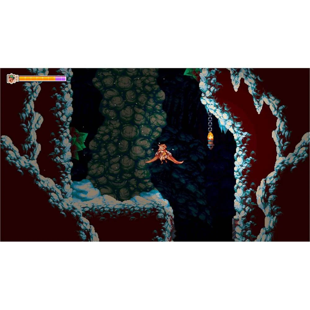Owlboy - Nintendo Switch - Image 2