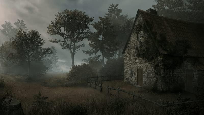 Saint Kotar - PlayStation 4 - Image 2