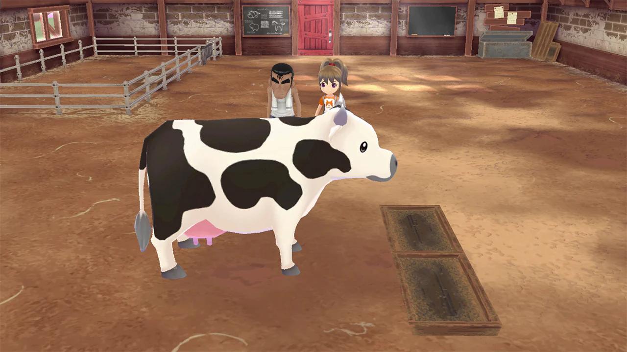 STORY OF SEASONS A WONDERFUL LIFE PREMIUM EDITION - SWITCH - Image 5