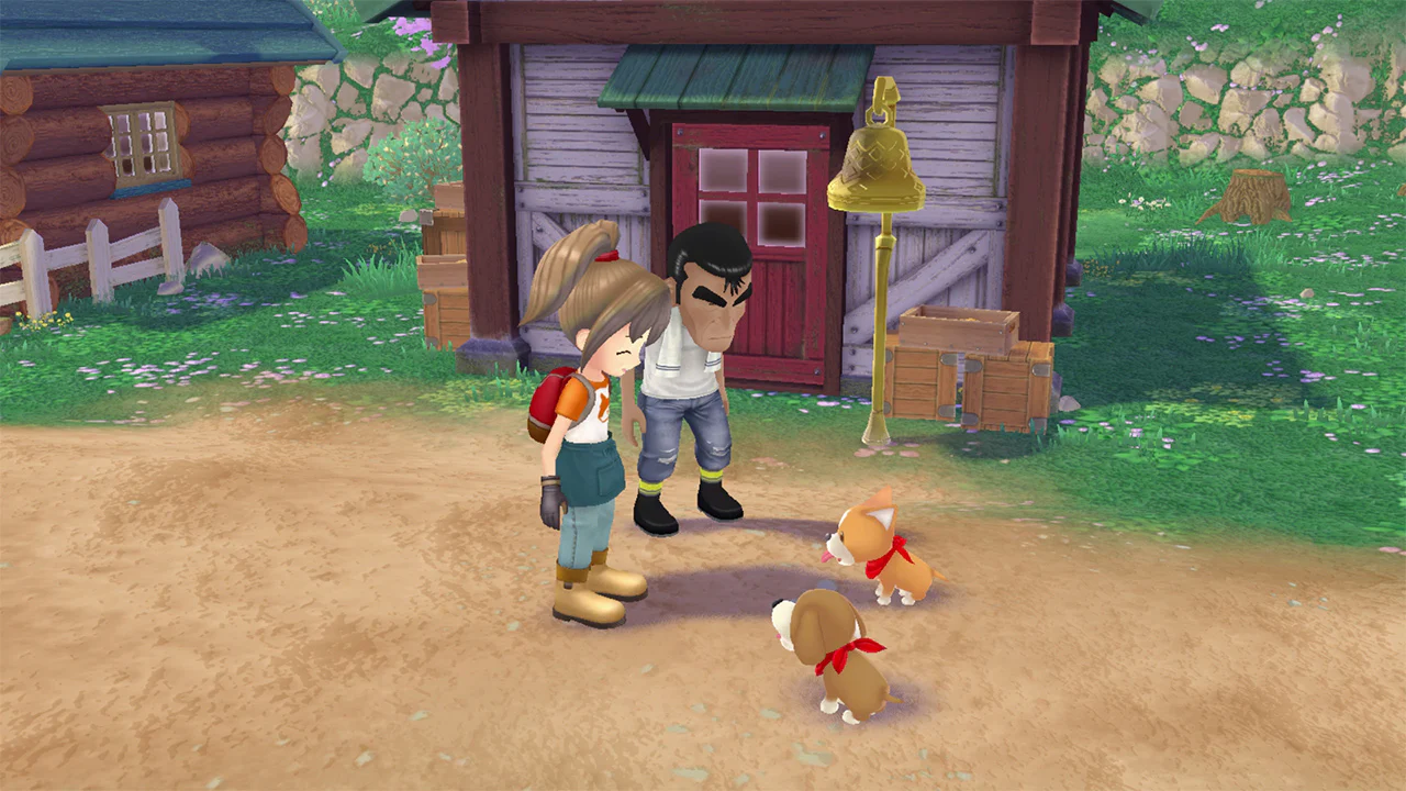STORY OF SEASONS A WONDERFUL LIFE - XBOX SERIES X - Image 6
