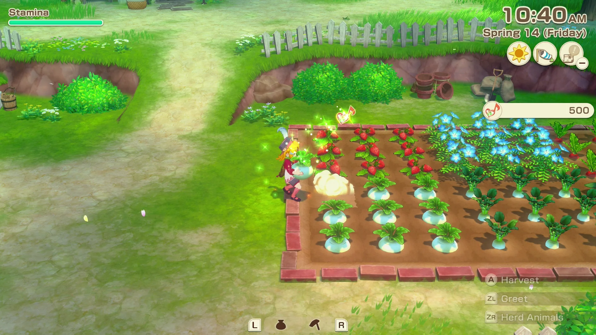 STORY OF SEASONS: Grand Bazaar [Premium Edition] - Nintendo Switch  (FREE SHIPPING) - Image 4