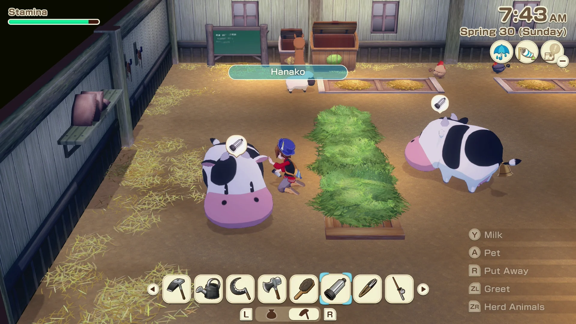 STORY OF SEASONS: Grand Bazaar [Premium Edition] - Nintendo Switch  (FREE SHIPPING) - Image 6