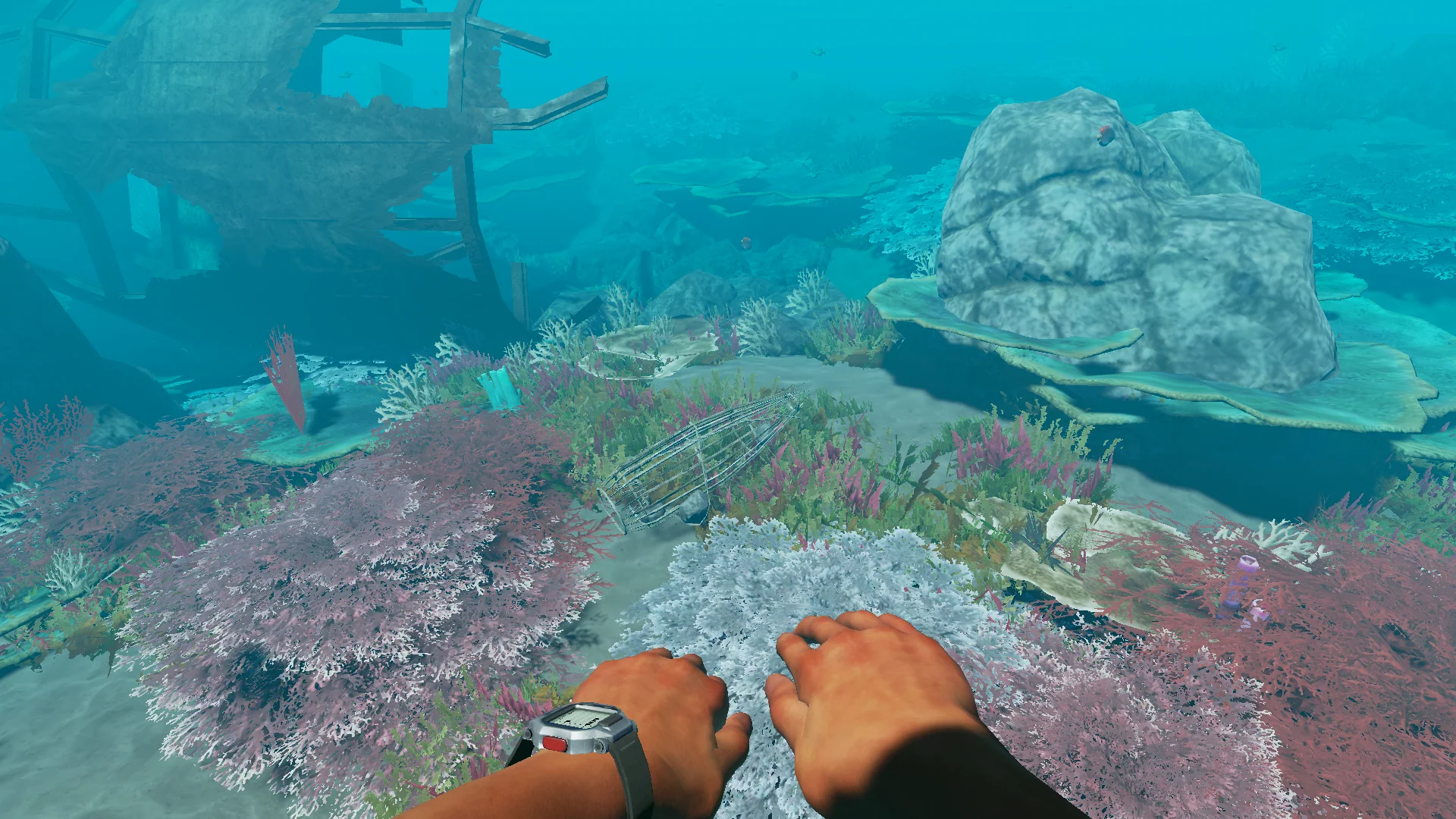 Stranded Deep - SWITCH - Image 5