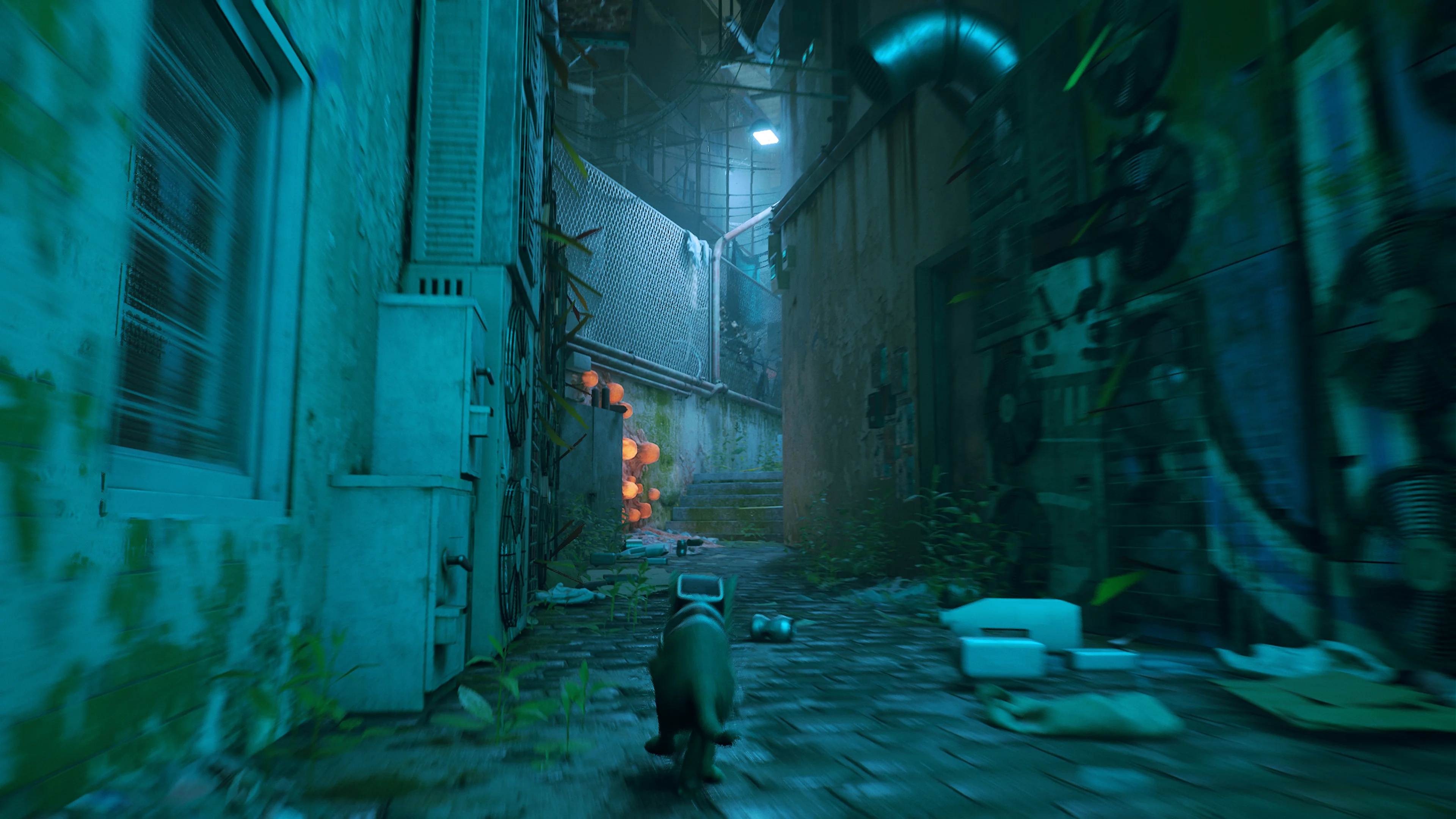 Stray - PlayStation 5 - Image 12