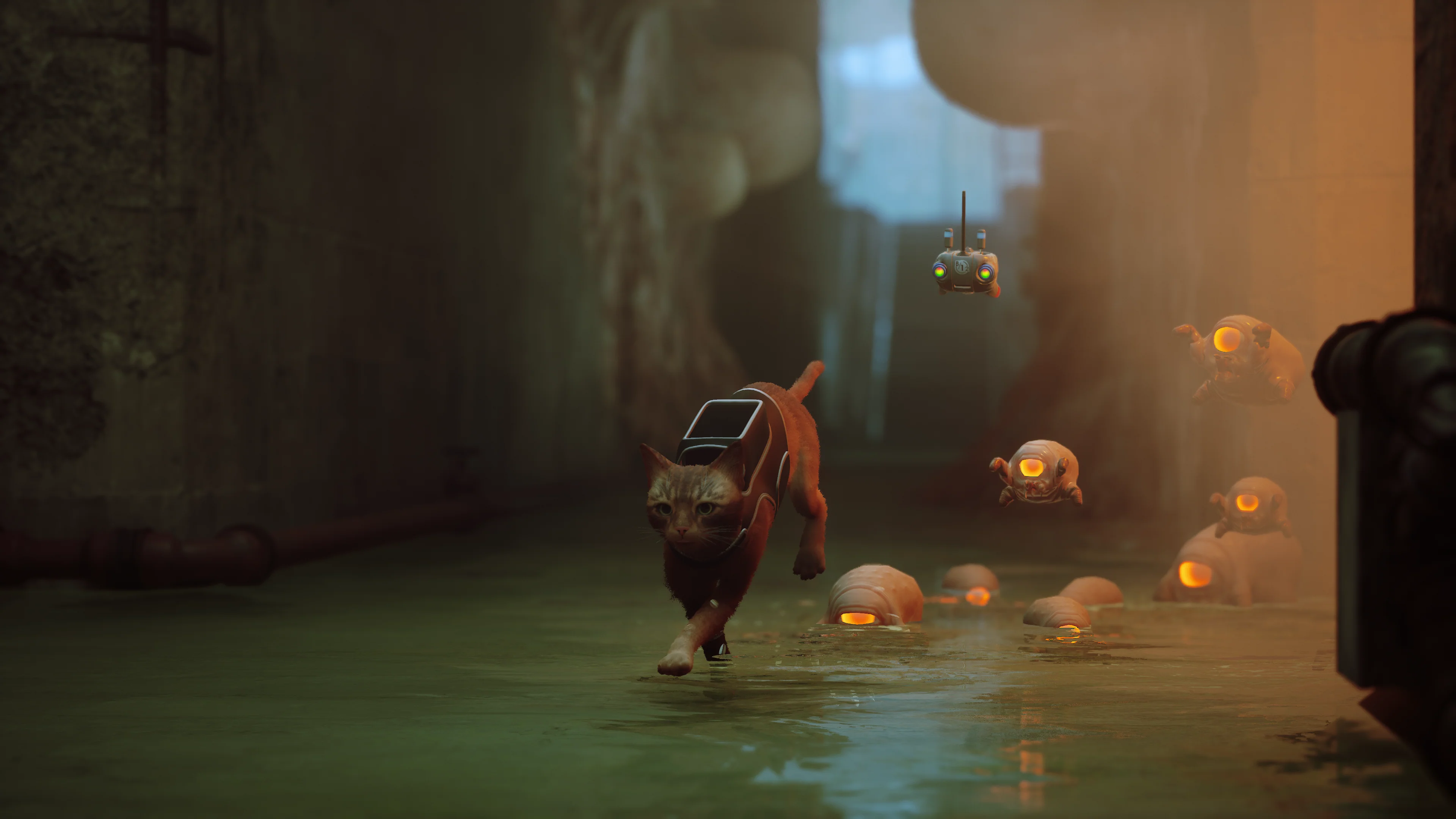 Stray - PlayStation 5 - Image 14