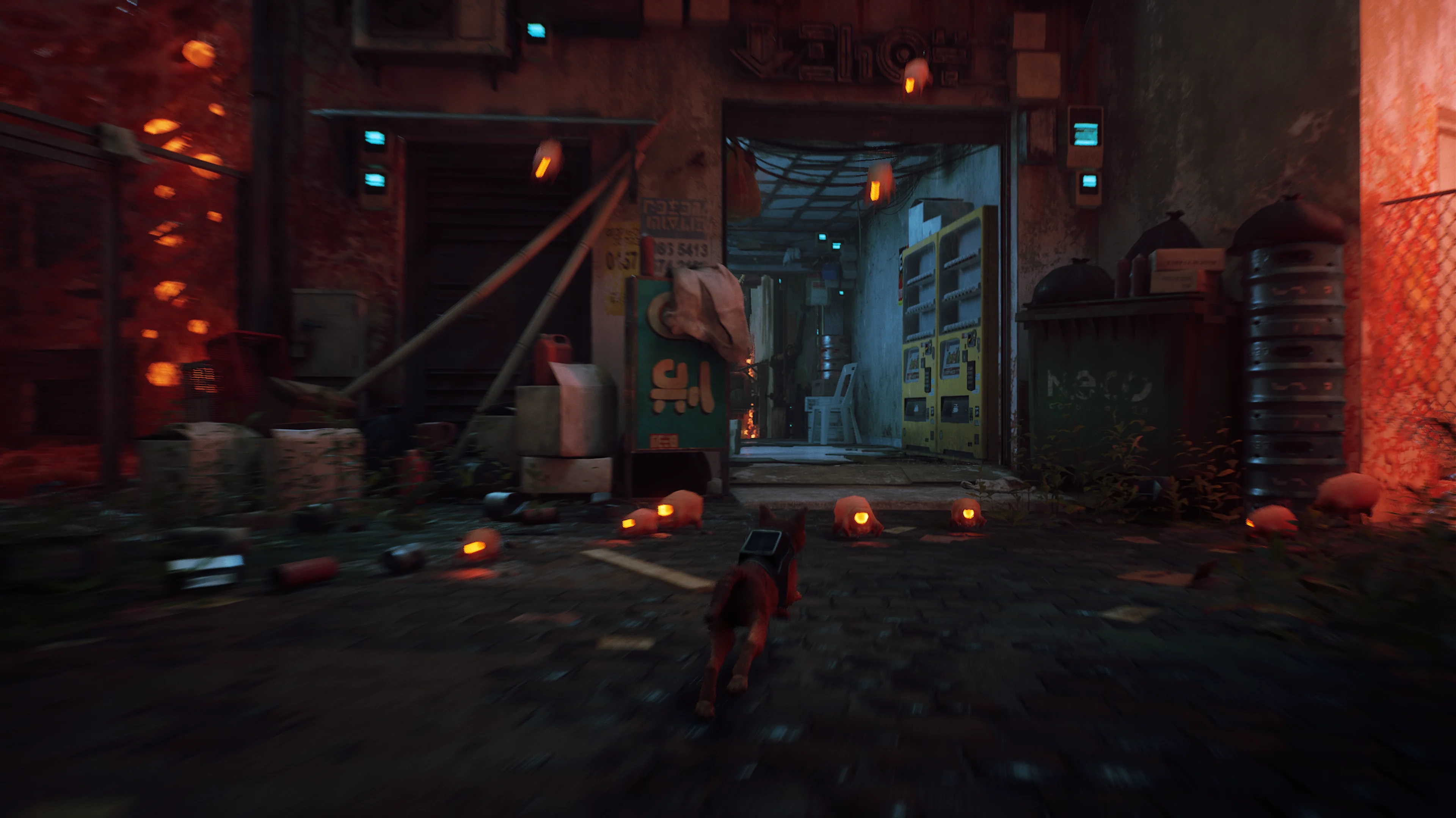 Stray -  Xbox One/Xbox Series X - Image 9