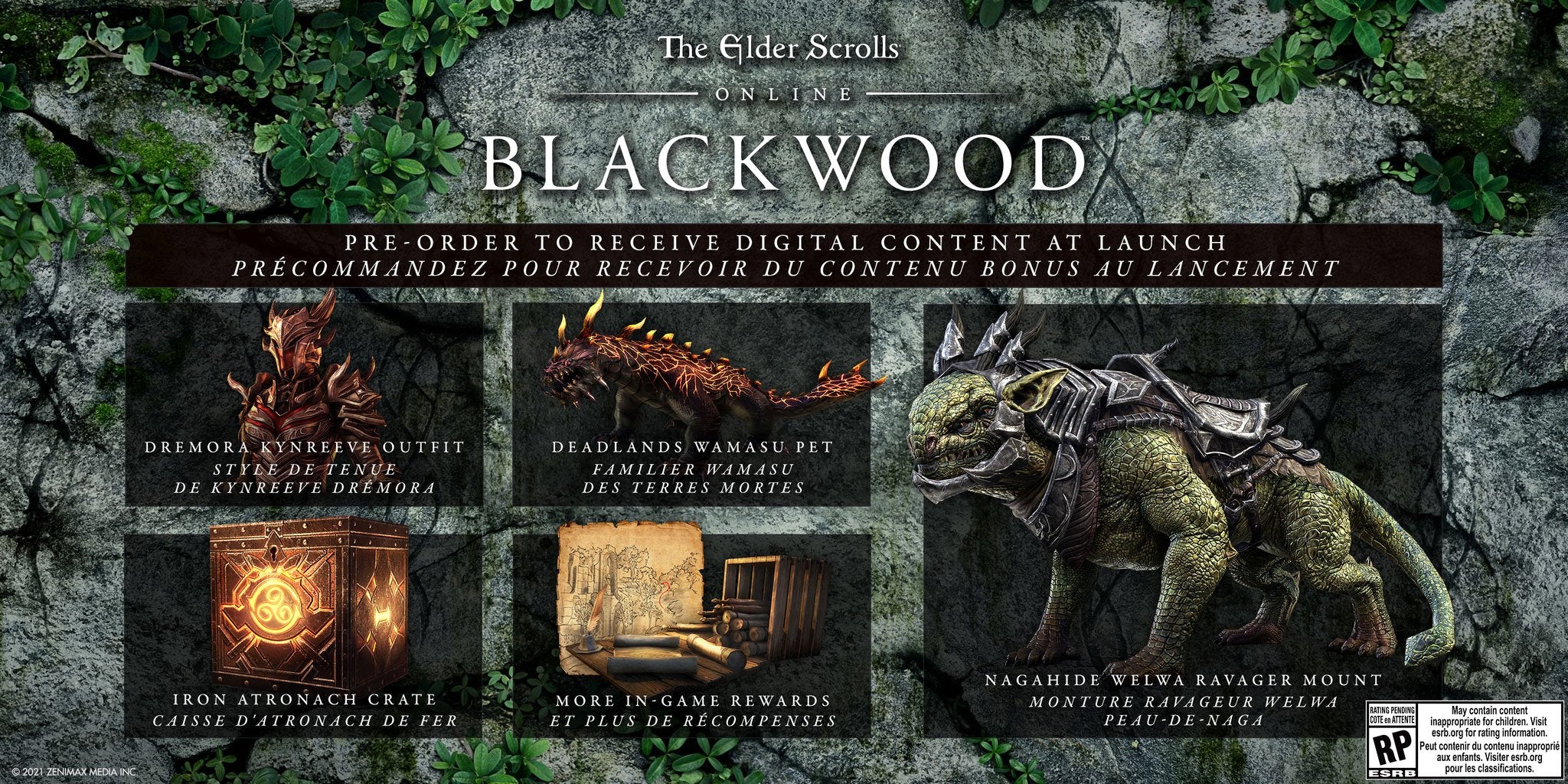 The Elder Scrolls Online: Blackwood - XBOX ONE / SERIES X - Image 2