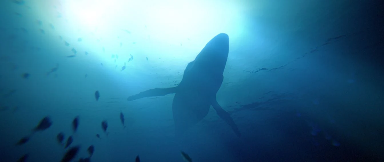 UNDER THE WAVES - XBOX ONE/XBOX SERIES X - Image 5