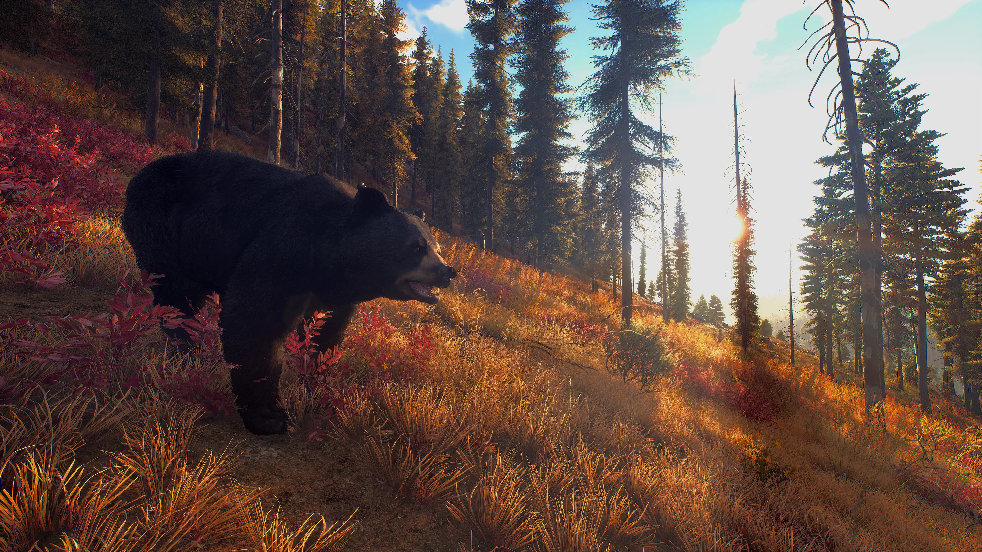 Way of the Hunter Hunting Season - XBOX SERIES X - Image 3