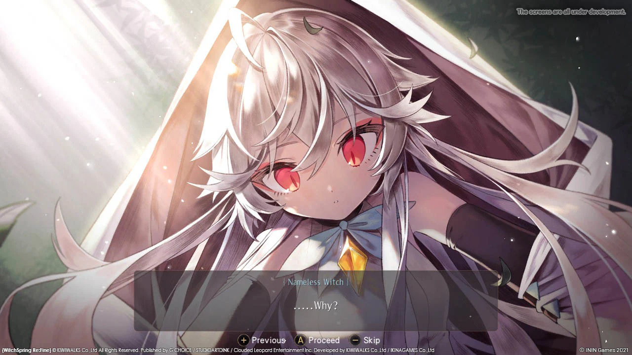 Witch Spring 3 [Re: Fine] The Story of Eirudy - SWITCH - Image 2