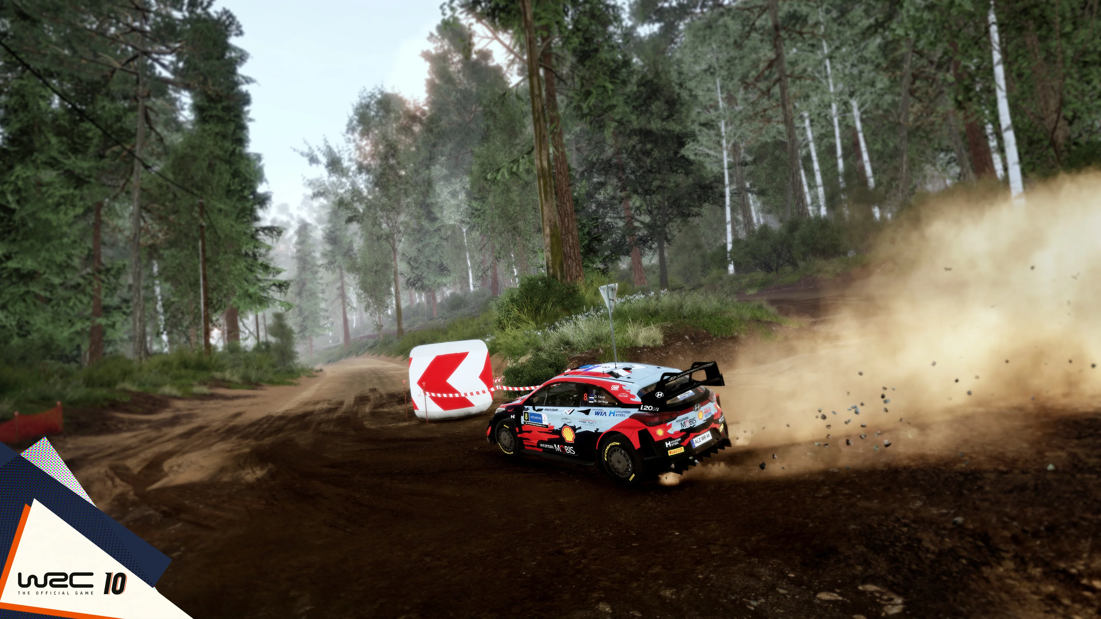 WRC 10 - SWITCH - Image 3